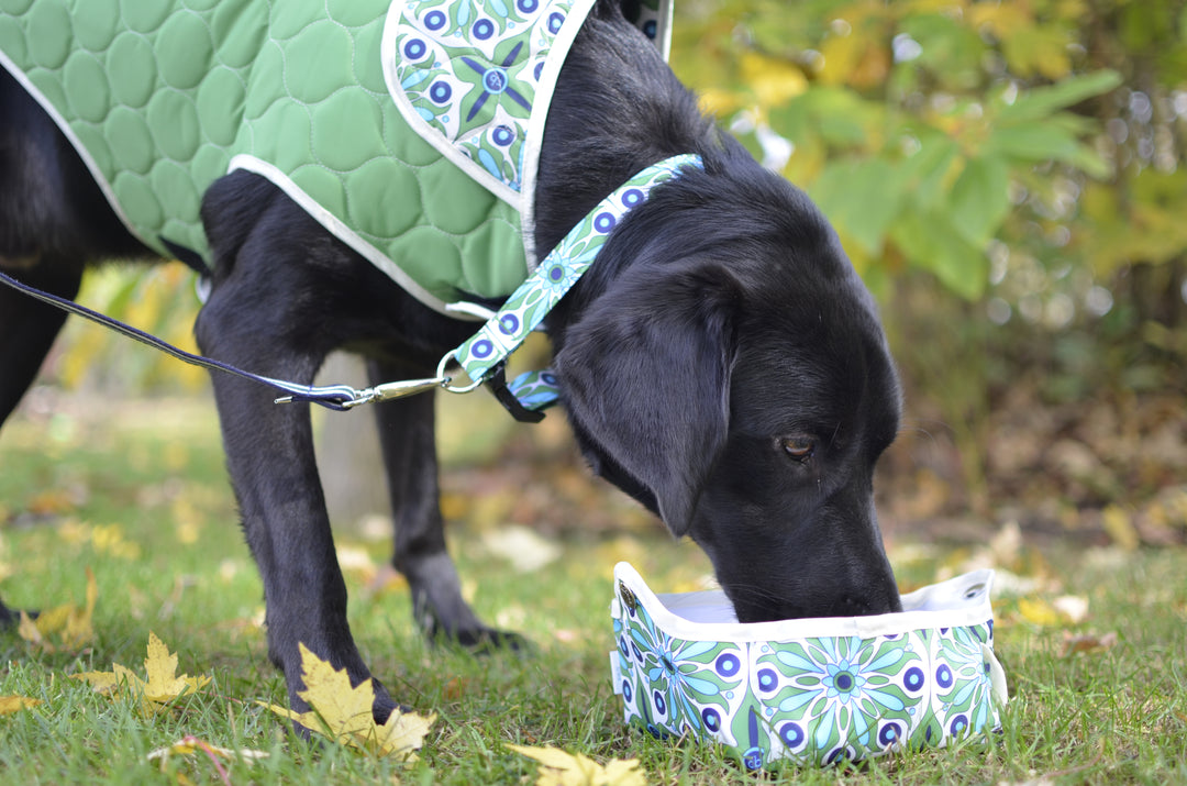 Portable Travel Pet Food Bowl - Food or Water Dog Bowl